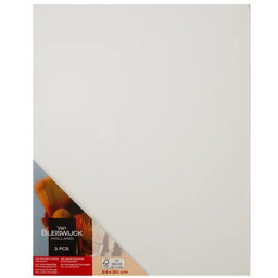 Płótna Malarskie 24X30 Podobrazie Białe 3Szt