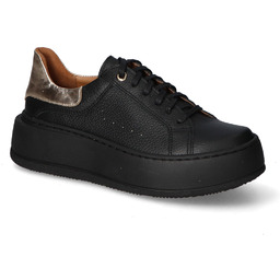 Sneakersy Contes 642 Czarne/Złote lico