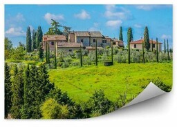 budynek drzewa winnica niebo chmury Toskania Włochy Fototapeta