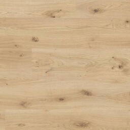 Panele Metamorphose Dąb Rodenbach 854671