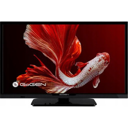 Telewizor Led GoGen TVH24P352T 24" Hd Ready czarny