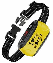 Patpet B300