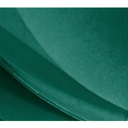 Bibuła Gładka Niebarwiąca Silk 50x75cm Zielona - 240ark