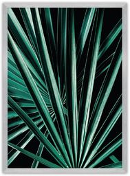 Plakat Dark Palm Tree, 21 x 30 cm,