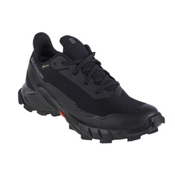 Buty do biegania Salomon Alphacross 5 GTX