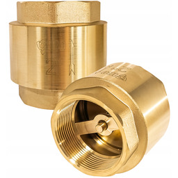 Zawór Zwrotny Kierunkowy Spężynowy 2" Cale DN50