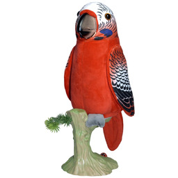 PAPUGA POWTARZA SŁOWA ŚMIESZNA DŹWIĘK PAPUGI