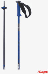 Salomon Kije narciarskie Polar Pro race blue