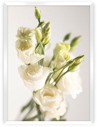 Plakat Elegant Flowers, 21 x 30 cm, Ramka: