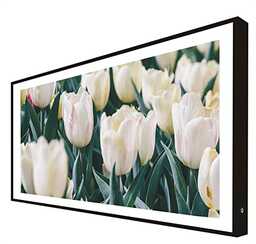 Podświetlany drewniany plakat Kwiaty: Tulipany