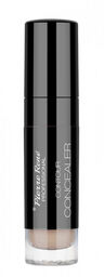 Pierre René - CONTOUR CONCEALER - Płynny korektor