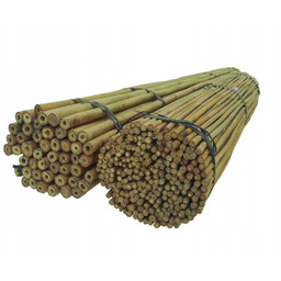 Tyczki bambusowe 120 cm 12/14 mm /100 szt/,