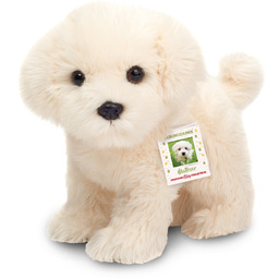 Maskotka piesek pluszowy Maltańczyk stojący 23 cm Teddy