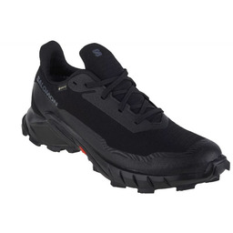 Buty do biegania Salomon Alphacross 5 GTX M