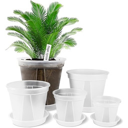 GREENPARA Przezroczysta plastikowa donica z podstawką 10 szt.