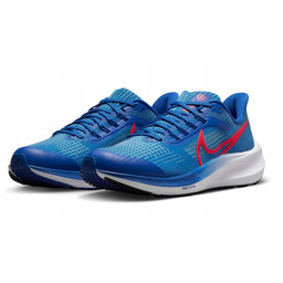 Nike Zoom Pegasus 39 Nn Gs