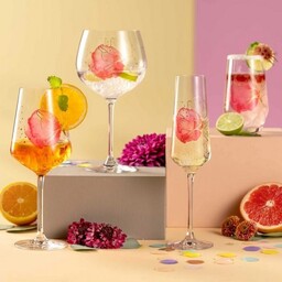 Leonardo - Kieliszek do Ginu 750ml PRESENTE