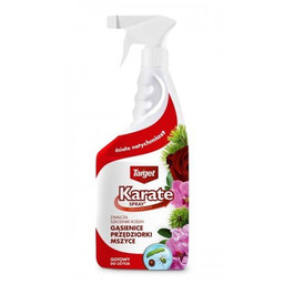 KARATE SPRAY 750 ML
