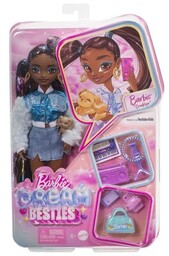 Mattel Lalka Barbie Dream Besties Brooklyn HYC22