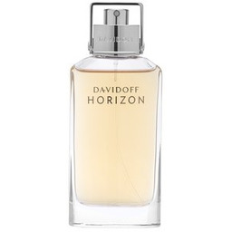 Davidoff Horizon woda toaletowa dla mężczyzn 75 ml