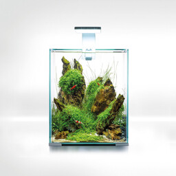 AQUAEL, Zestaw Shrimp Set Smart Day & Night