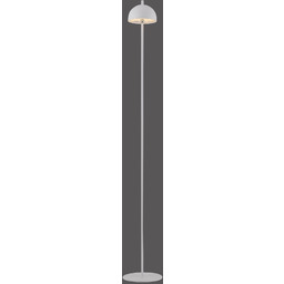 PAUL NEUHAUS Lampa podłogowa BELLIS 19245-16 oprawa