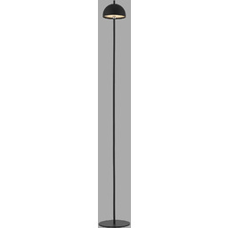 PAUL NEUHAUS Lampa podłogowa BELLIS 19245-18 oprawa