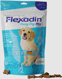 Flexadin young dog maxi 60 tab.