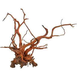 Amtra Drewno Red Pająk King - rozmiar XS