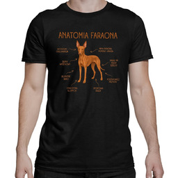 Anatomia Faraona - męska koszulka na prezent