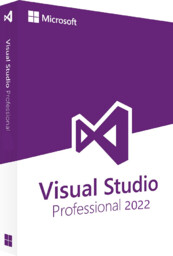 Microsoft Visual Studio 2022 Professional