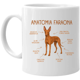 Anatomia Faraona - kubek na prezent dla miłośnika
