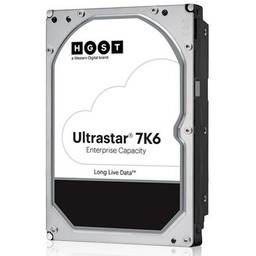 Dysk serwerowy HDD Western Digital Ultrastar DC HC310
