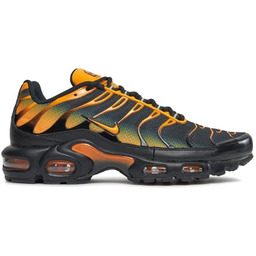 Nike buty męskie Air Max Plus DM0032-007 43