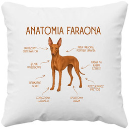 Anatomia Faraona - poduszka na prezent dla miłośnika