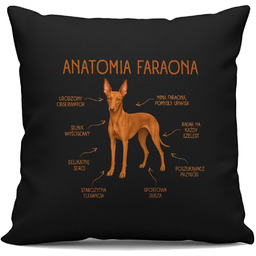 Anatomia Faraona - czarna poduszka na prezent