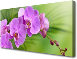 Obraz Canvas Storczyk Orchidea Kwiaty