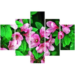 70 100cm obraz 5 elem Azalie Japońskie druk