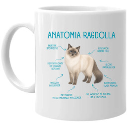 Anatomia Ragdolla - kubek na prezent dla miłośnika