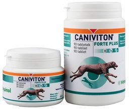 Caniviton Forte Plus 90 tbl.