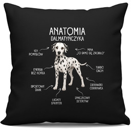 Anatomia Dalmatyńczyka - czarna poduszka na prezent