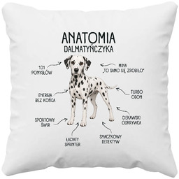 Anatomia Dalmatyńczyka - poduszka na prezent dla miłośnika