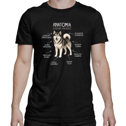 Anatomia Alaskan Malamut - męska koszulka na prezent