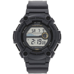 Zegarek Casio WS-1300H-8AVEF Szary