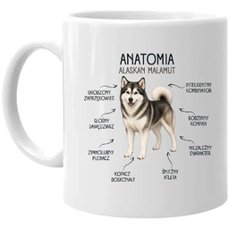 Anatomia Alaskan Malamut - kubek na prezent