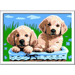 RAVENSBURGER Malowanie po numerach Creart Szczeniaczki 28931