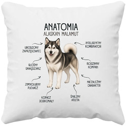 Anatomia Alaskan Malamut - poduszka na prezent