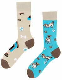 Todo Socks Jack Russel,, Piesek, Kości, Zabawki, Kolorowe