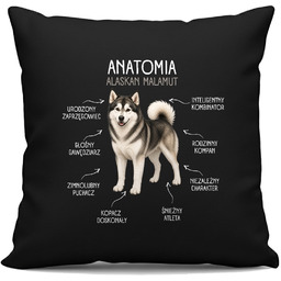 Anatomia Alaskan Malamut - czarna poduszka na prezent
