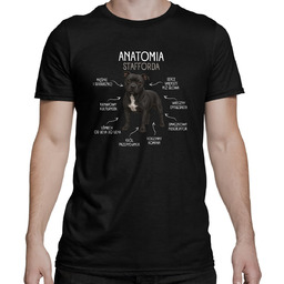 Anatomia Stafforda - męska koszulka na prezent